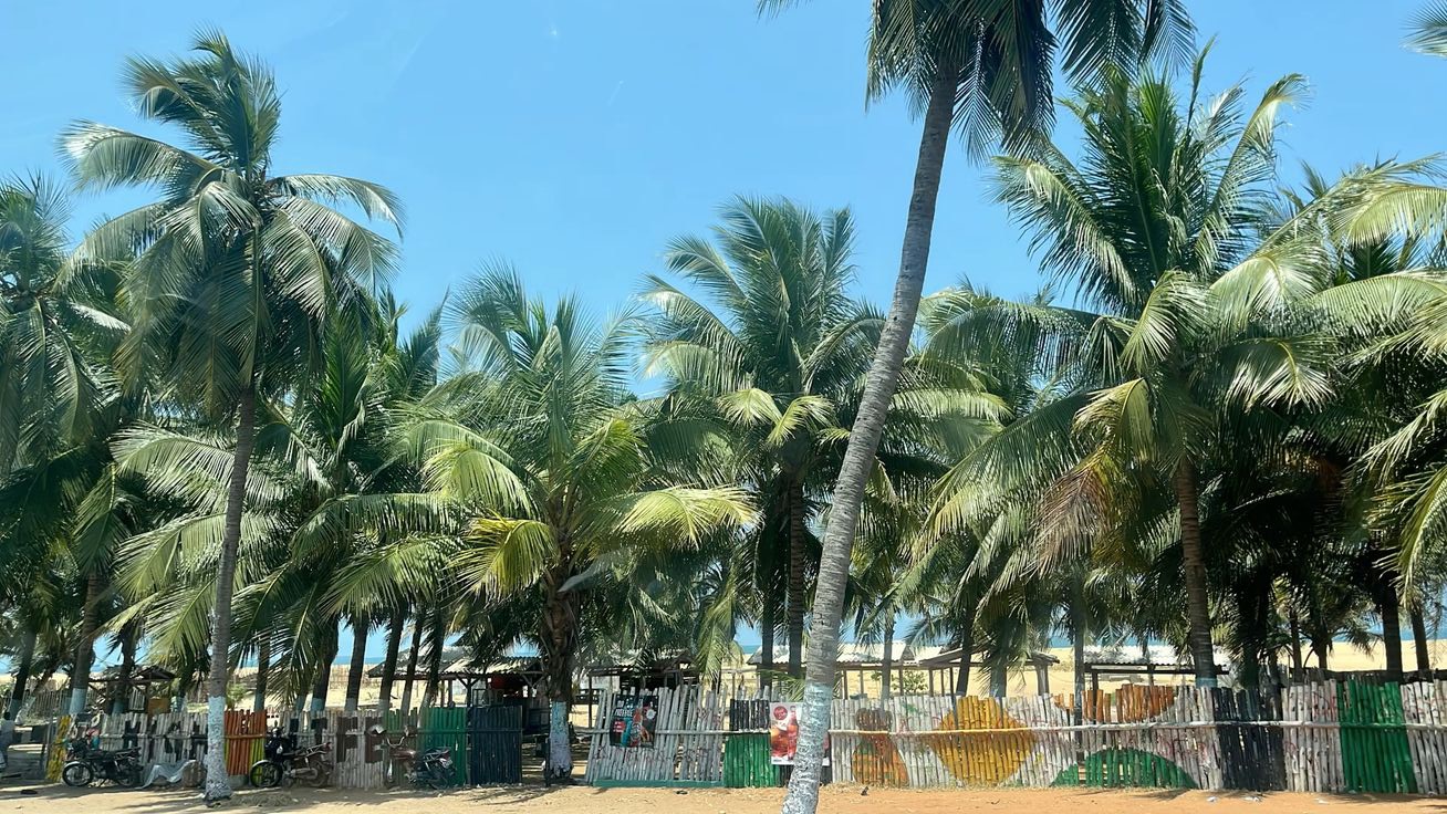 8bad76d4db8bebfe96ab5da72d2b2572